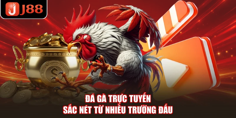 Đá gà trực tuyến sắc nét từ nhiều trường đấu