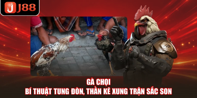 Gà Chọi - Bí Thuật Tung Đòn, Thần Kê Xung Trận Sắc Son