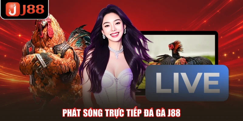 Phát sóng trực tiếp đá gà J88