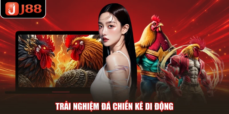 Trải nghiệm đá chiến kê di động